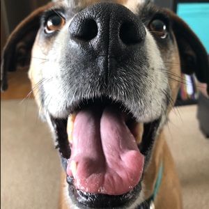 Meet your Posher, Scott